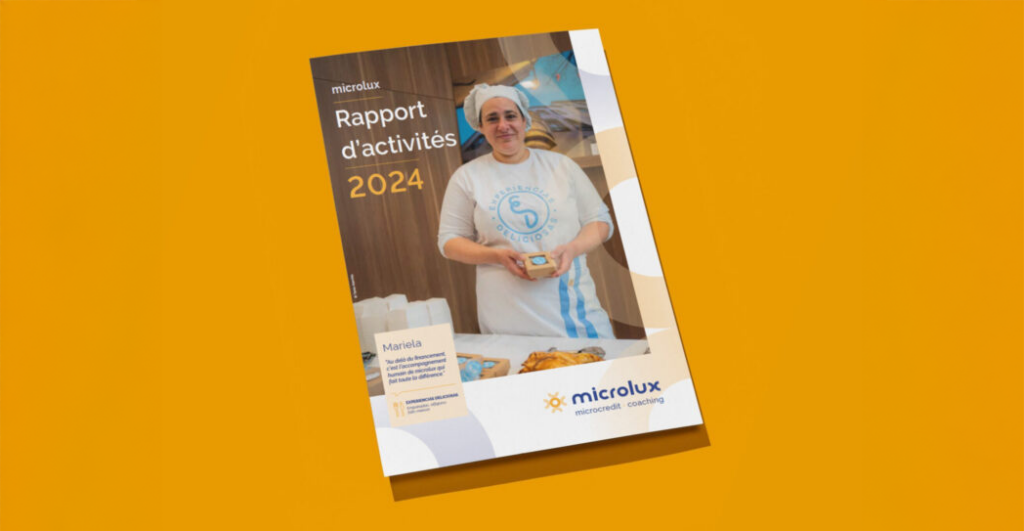 Microlux SIS 2024 Annuel Report